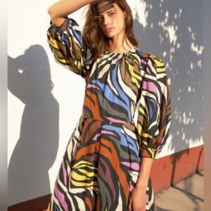 Colorful Zebra Dress